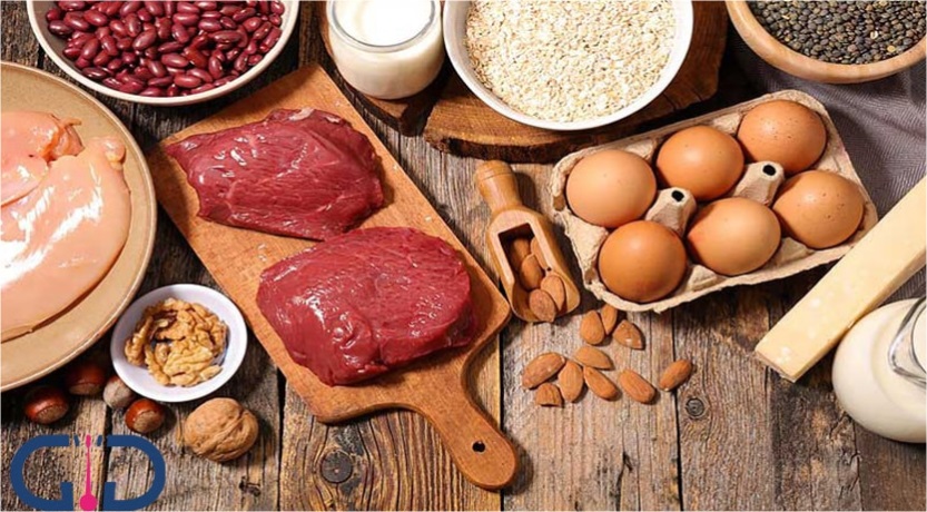 رژیم پروتئین